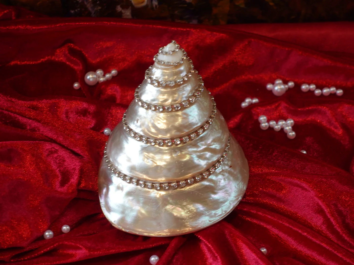 Cây thông nhỏ
